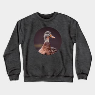 Miss Mallard Duck Photograph Crewneck Sweatshirt